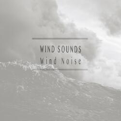 Blowing Wind