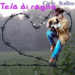 Tela di ragno