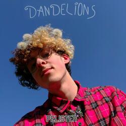 Dandelions