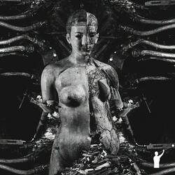 Aleación Ferromagnética