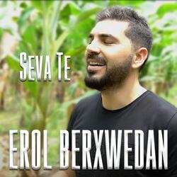 Seva Te