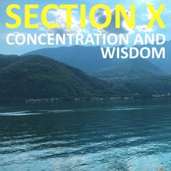 Discernment Between the Real and the Unreal