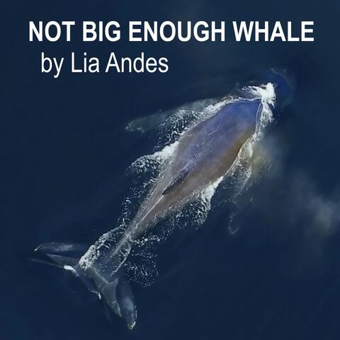Not Big Enough Whale