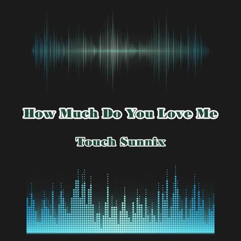 How Much Do You Love Me