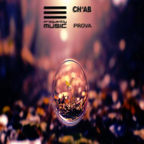 Prova