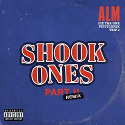 Shook Ones, Pt. II