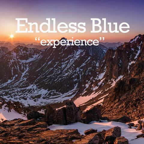 Experience