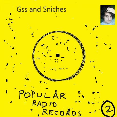Gss and Sniches