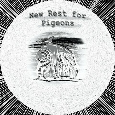 New Rest for Pigeons