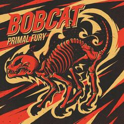 Bobcat
