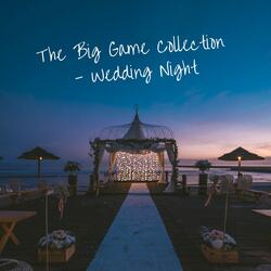 The Big Game Collection: Wedding Night