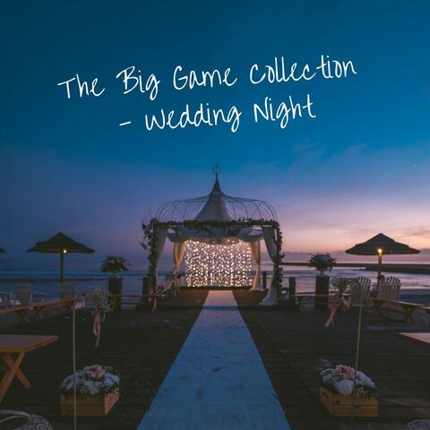 The Big Game Collection: Wedding Night