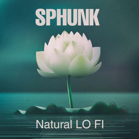 Natural Lo Fi
