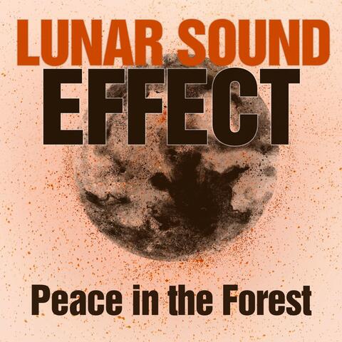 Peace in the Forest
