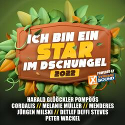 Komm steig ein