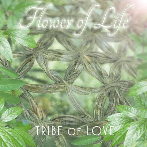 Flower of Life