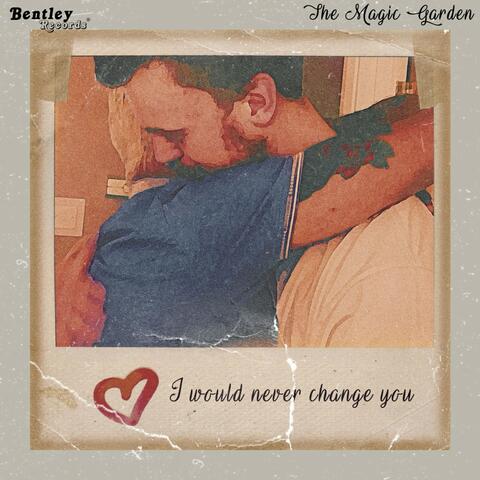 I Would Never Change You