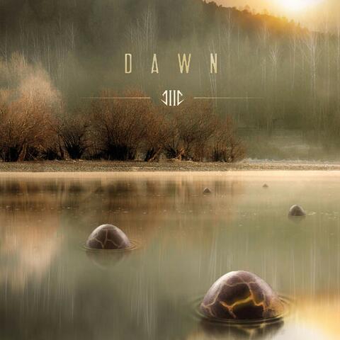 Dawn
