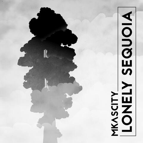 Lonely Sequoia