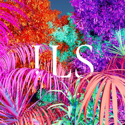 Ils