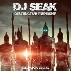 Destructive Friendship Radio Edit