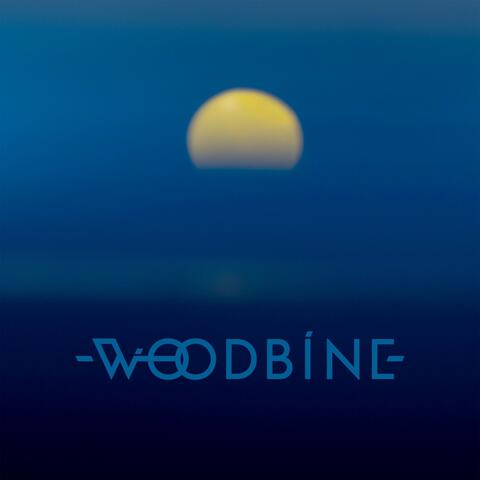 Woodbine