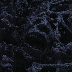 Bonfire of the Insanities