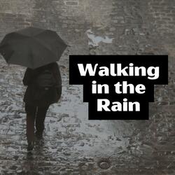 Relaxing Rain Sounds