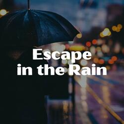 Rain for Happy Dreams, Pt. 10