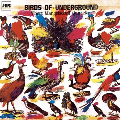 Birds of Underground