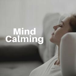 Developing Sleep Melodies, Pt. 70
