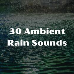 Rain on a Window