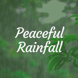 Gentle Rain Sounds