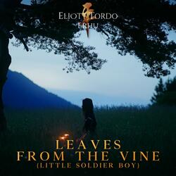 Leaves from the Vine (Little Soldier Boy)