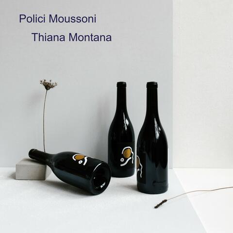 Polici Moussoni