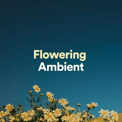 Flowering Ambient, Pt. 1