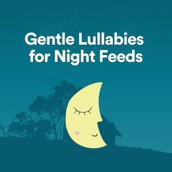 Gentle Lullabies for Night Feeds, Pt. 7