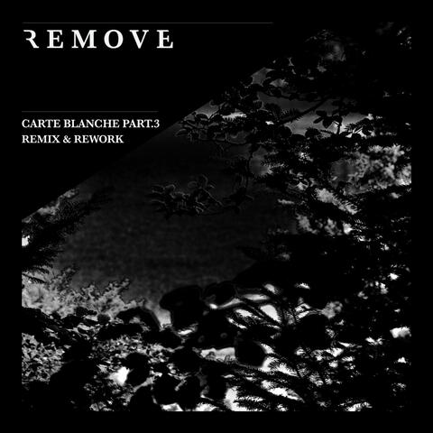 Carte Blanche, Pt. 3: Remix & Rework