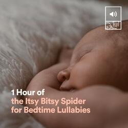 1 Hour of the Itsy Bitsy Spider for Bedtime Lullabies, Pt. 30