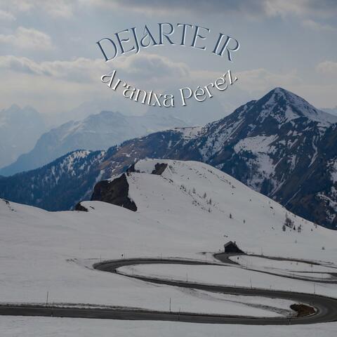 Dejarte Ir