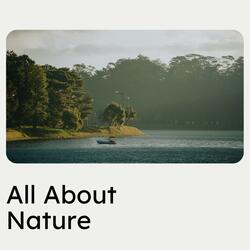 Calm Summer Ambient Sounds, Pt. 7