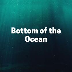 Sheeny Ocean