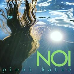 Pieni katse