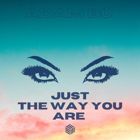 Just the Way You Are