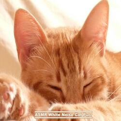 ASMR White Noise Cat Purr