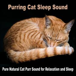 Purring Cat Sleep Sound (Loopable with No Fade)
