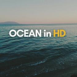 Relaxing Ocean Sounds, Pt. 1