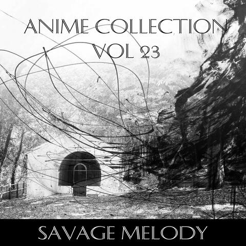Anime Collection, Vol. 23