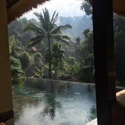Tropical Rain