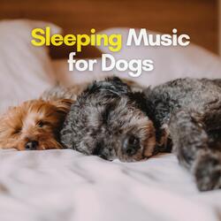 Relaxing Dog Music, Pt. 13